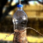 Water-bottle-bird-feeder.jpg